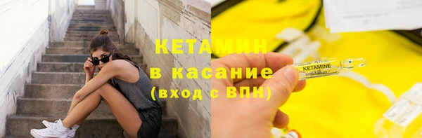 сатива Абинск