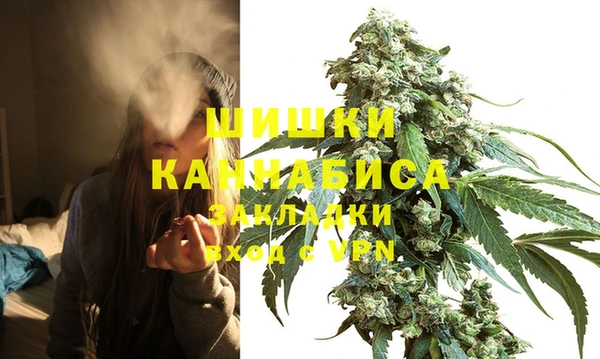 сатива Абинск