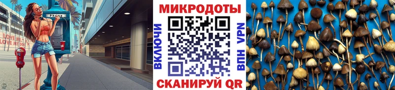 Псилоцибиновые грибы мицелий  наркошоп  Кудымкар 